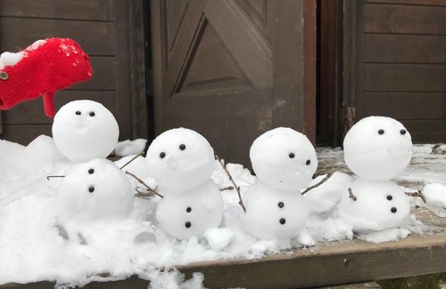 Hokujo Cabin | Hakuba Cottage Gram