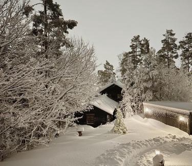 Slemdal House | Hallingstua