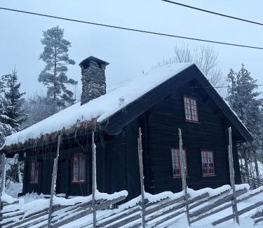 Slemdal House | Hallingstua