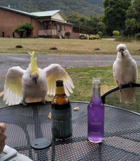 Halls Gap Cabin | Halls Gap Valley Lodges