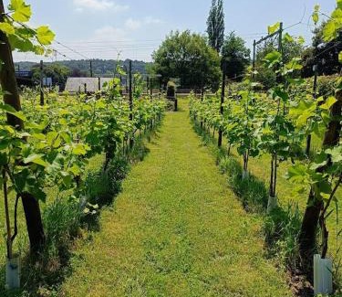 Geulhem House | Halte Sint-Gerlach Holiday Home