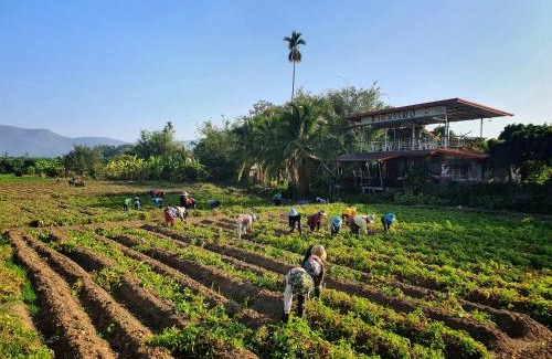 Phrao Hotel | Hamenameng