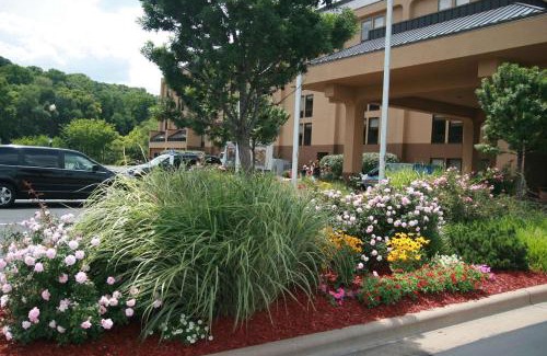 East Peoria Hotel | Hampton Inn East Peoria