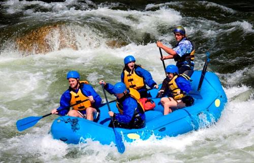 Roanoke Rapids Hotel | Hampton Inn Roanoke Rapids