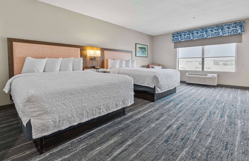 Selma Hotel | Hampton Inn & Suites Selma-San Antonio-Randolph AFB Texas