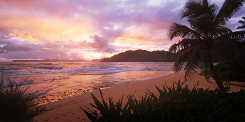 Wainiha Resort | Hanalei Colony Resort