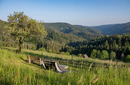 Schiltach Apartment | Hansjörgenhof Bioland-Hof