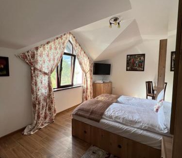Runcu House | Hanul Doctorului Badeni-Runcu Vila 2