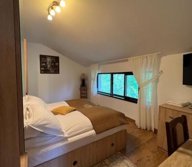Runcu House | Hanul Doctorului Badeni-Runcu Vila 2