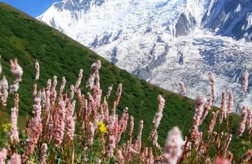 Hunza Other | Hapakun camping site Minapin Hunza Nagar