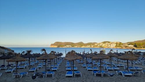 Peguera Apartment | Hapimag Resort Paguera