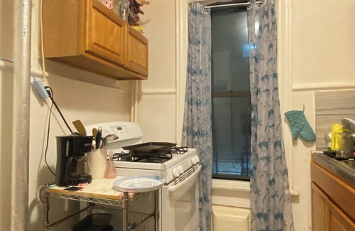 Ditmas Park Apartment | Happy artist Sasha hosting spacious prewar apartment in Flatbush broooklyn!