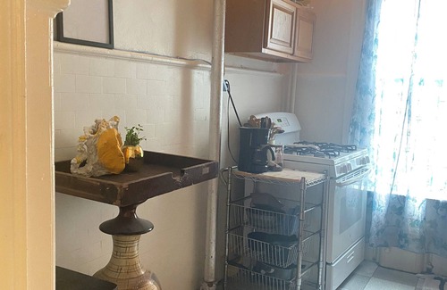 Ditmas Park Apartment | Happy artist Sasha hosting spacious prewar apartment in Flatbush broooklyn!