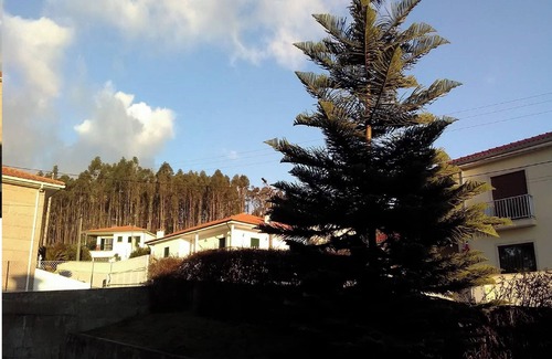 Felgueiras House | Happy group or large family holiday - Free Wifi