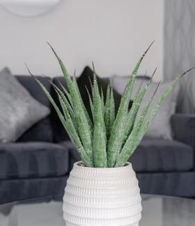 West Calder House | Harburn House