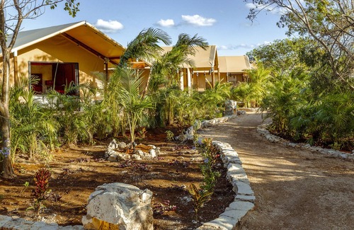 Cancun Bed & Breakfast | Harmony King Tent -