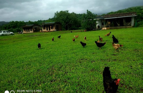 Pali House | Harshagrotourism