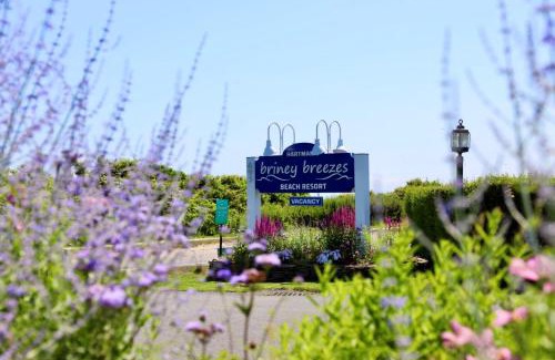 Montauk Hotel | Hartman's Briney Breezes Beach Resort