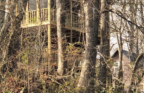 Pangburn Cabin | Harvey’s Hideaway Riverfront Cabin