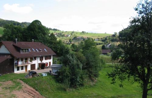 Kleines Wiesental Apartment | Haus am Eckle