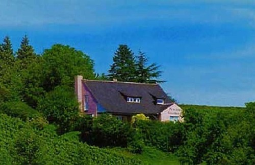 Meersburg House | Haus am Trielberg