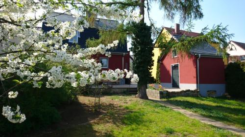 Piesteritz House | Haus an den Elbwiesen