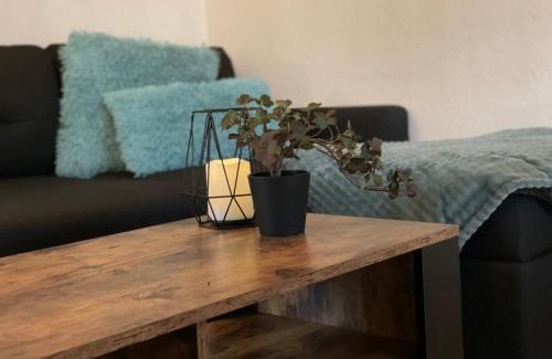 Wiek Apartment | Haus Boddenruh Ferienwohnung Holz