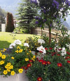 Jerzens Bed & Breakfast | Haus Edelweiß