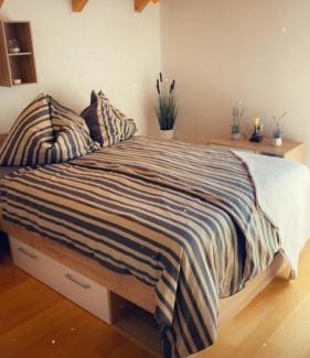 Sankt Stefan im Gailtal House | Haus ElSaVi - Top 1