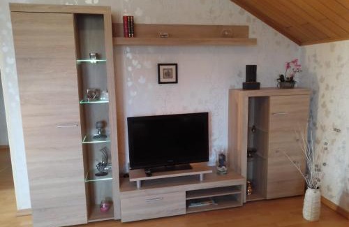 Mainz-Bingen Apartment | Haus Heidrun