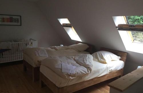 Stolberg House | Haus Maxi