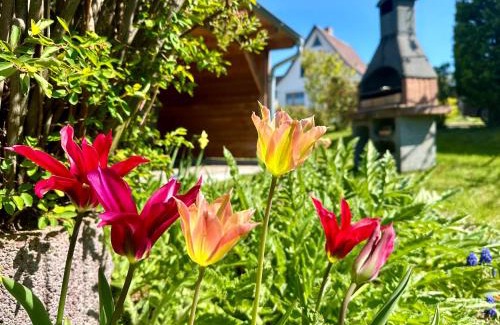 Thiessow Apartment | Haus Meerglück Lachmöwe