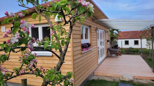 Geltendorf Apartment | Haus mit stilvoller Ferienwohnung und Tiny House nahe Ammersee für 2-6 Personen