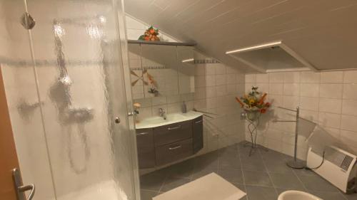 Spital am Pyhrn Apartment | Haus Nardin