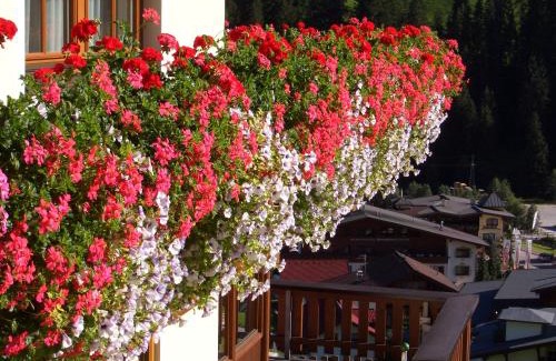 Vorderlanersbach Apartment | Haus Panorama