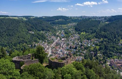 Schramberg Apartment | Haus Schiltach