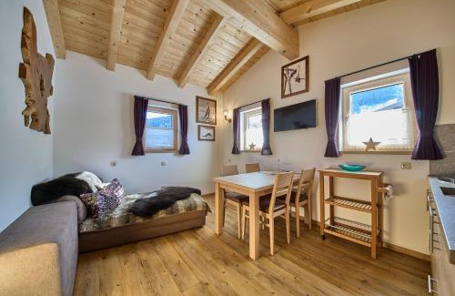 Saalbach-Hinterglemm Apartment | Haus Silian - Studio