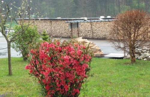 Unterpremstaetten Bed & Breakfast | Haus Steirer am Kaiserwald