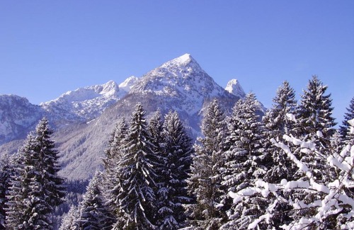 Annaberg im Lammertal Apartment | Haus Unterdieterer