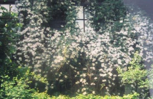 Schiltach Apartment | Haus Wagner