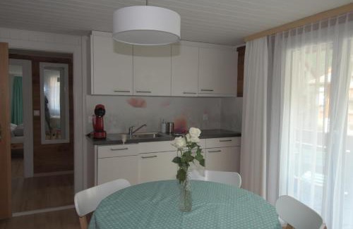 Saas Grund Apartment | Haus Wiedersehen, Mischabel (2-Zi)