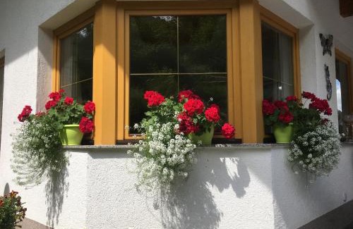Sankt Anton am Arlberg Apartment | Haus Wildebene