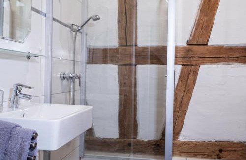 Binzwangen House | Haus Wildrose