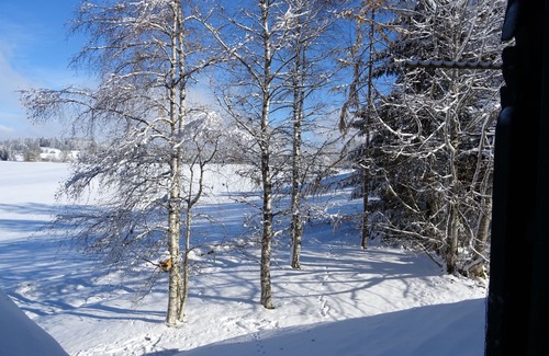 La Ferriere Apartment | Haven of peace in the middle of a park