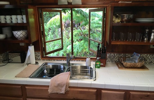 Mountain View Cabin | Hawaiian Tree House Cabin - A/C and 15 Minutes to Volcano National Park