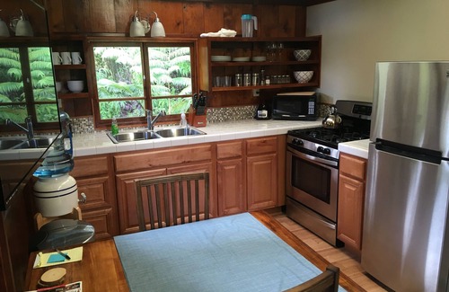 Mountain View Cabin | Hawaiian Tree House Cabin - A/C and 15 Minutes to Volcano National Park
