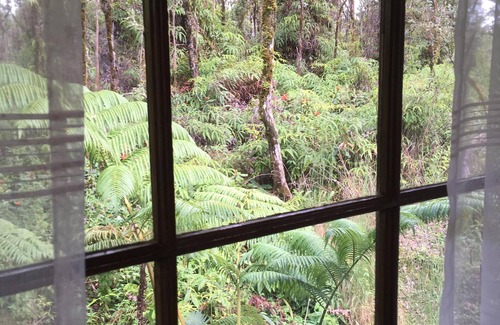 Mountain View Cabin | Hawaiian Tree House Cabin - A/C and 15 Minutes to Volcano National Park