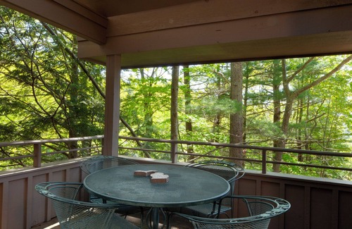 Maple City Condo | Hawk's Nest 5