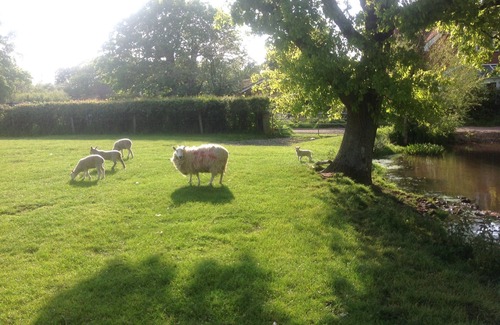 Plaitford House | Hayloft - Converted Barn In An Attractive Courtyard On Our Family Stockfarm
