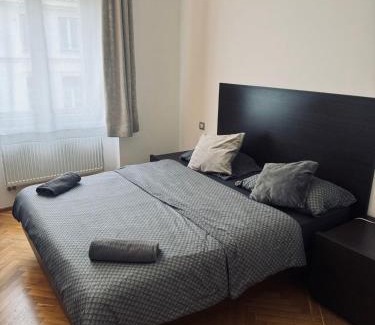 Nove Mesto Apartment | Heart of Prague apartment